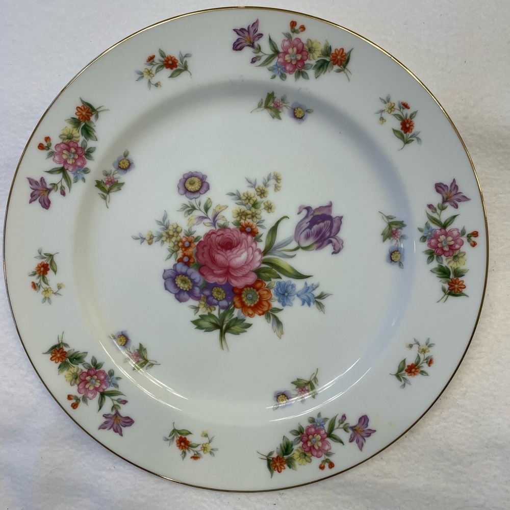 Dinner plates. Aladdin Dresdenia Made in Occupied Japan